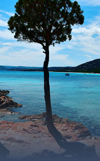 Photo of Plage de Palombaggia (2A) by Cyril Caiazzo