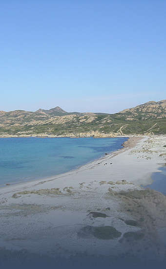 Photo of Plage de l’Ostriconi (2B) by Davric