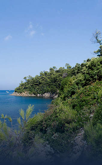 Photo of Parc national de Port-Cros (83) by VT98Fan