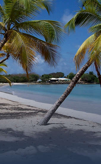 Photo of Martinique (97) by skeeze