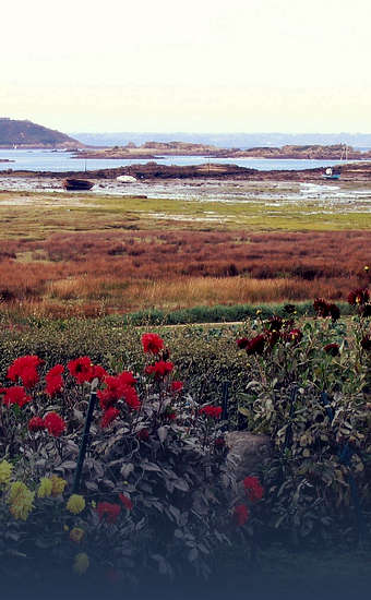Photo of Île-Grande (22) by PIERRE ANDRE LECLERCQ