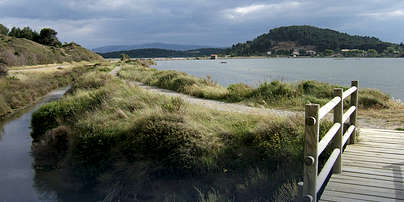 Photo of Île de Planasse (11) by cazah