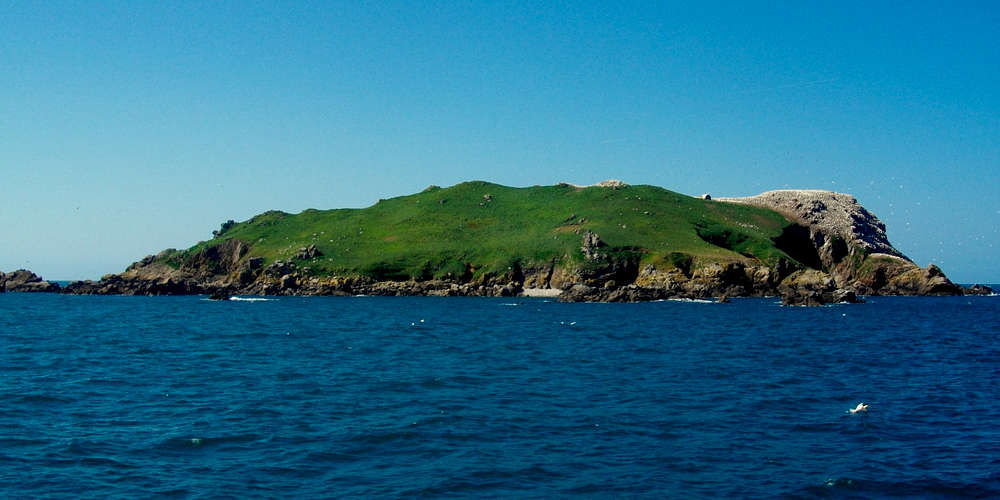 Photo of Île Rouzic (Archipel des Sept-Îles) (22) by Raphodon