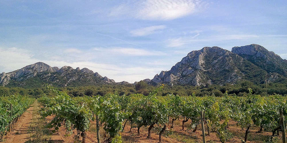 Photo of Saint-Rémy-de-Provence (13) by Saint Rémy de Provence Tourisme
