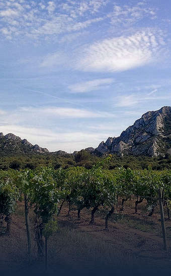 Photo of Saint-Rémy-de-Provence (13) by Saint Rémy de Provence Tourisme