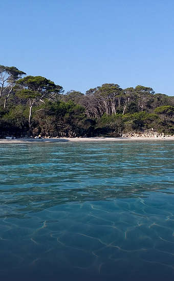 Photo of Île de Porquerolles (83) by creationElle