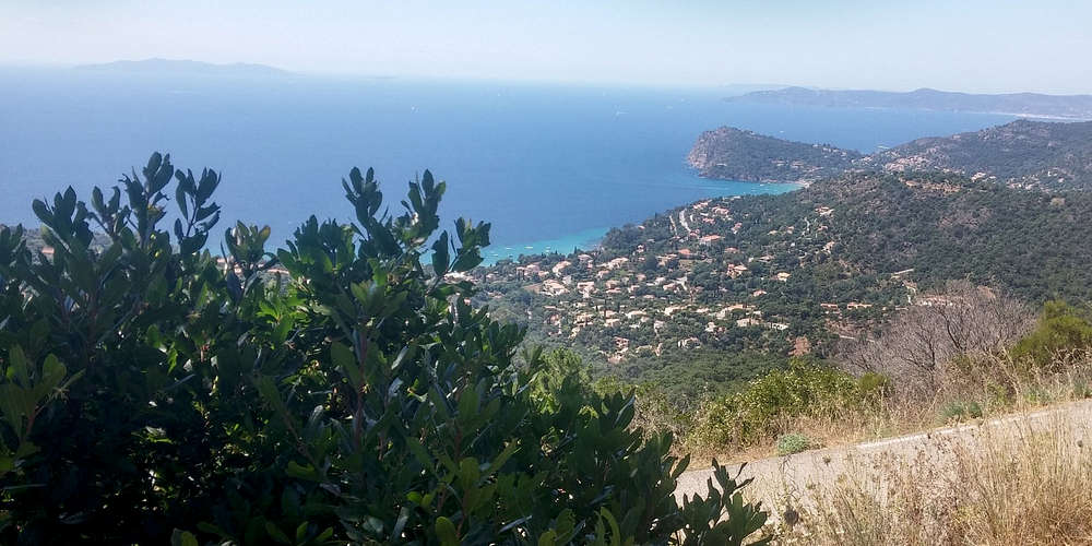 Photo of Le Rayol-Canadel (83) by We Love France