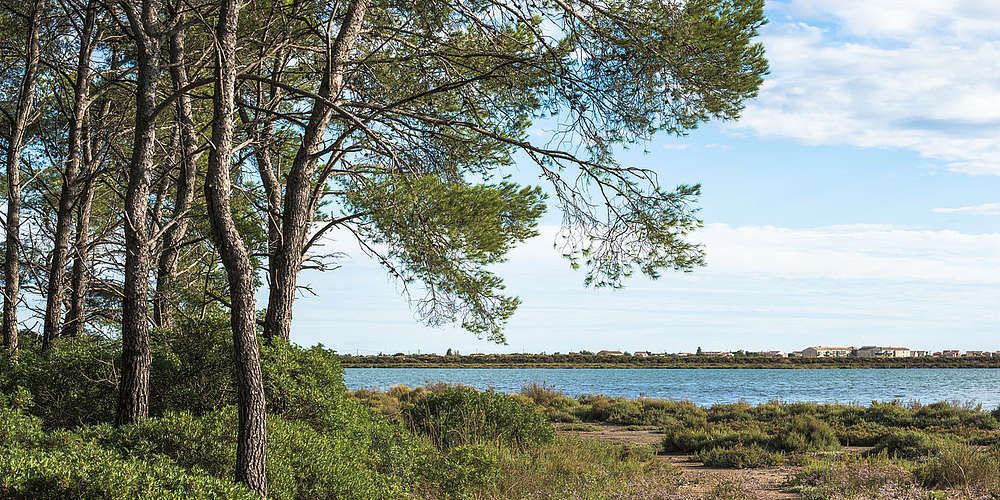 Photo of Plage des Aresquiers (34) by Christian Ferrer