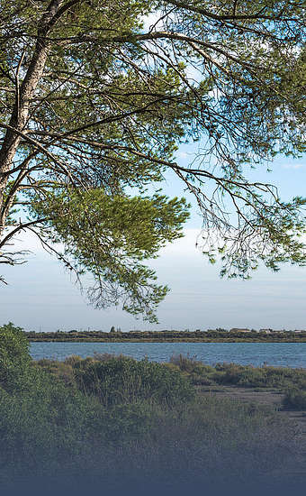 Photo of Plage des Aresquiers (34) by Christian Ferrer