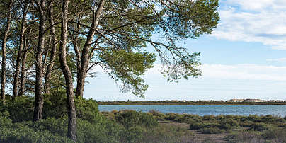 Photo of Plage des Aresquiers (34) by Christian Ferrer