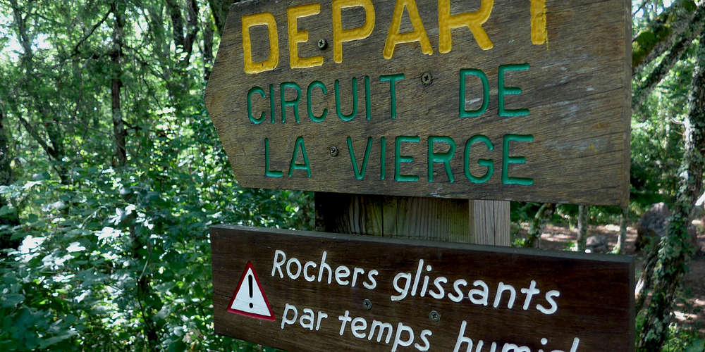 Photo of Bois de Païolive (07) by Celeda