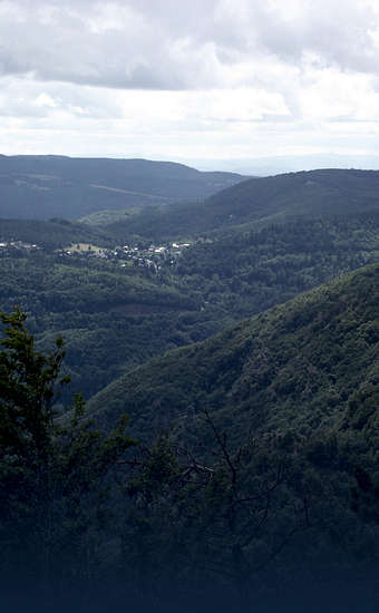Photo of Forêt du Mont-Aigoual (30) by Jmp48