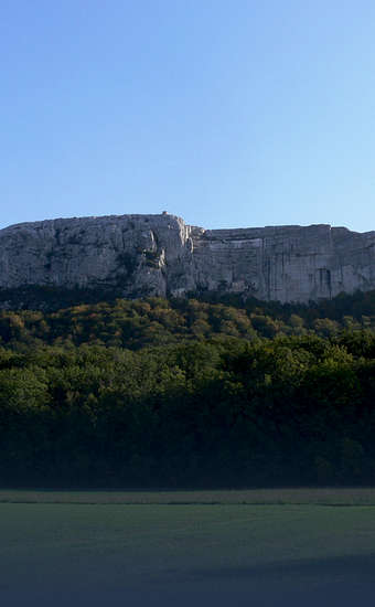 Photo of Forêt de la Sainte-Baume (83) by Jodelet / Lépinay