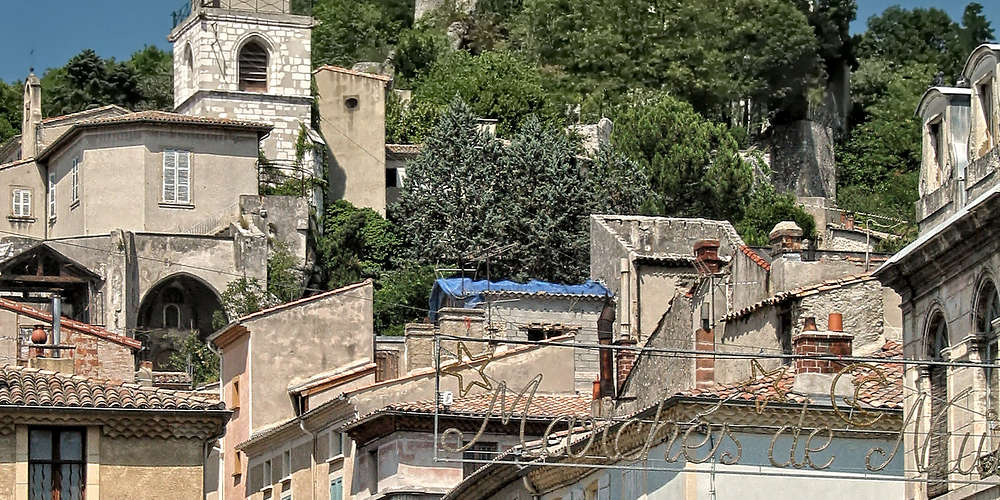 Photo of Crest (26) by Rolf Süßbrich